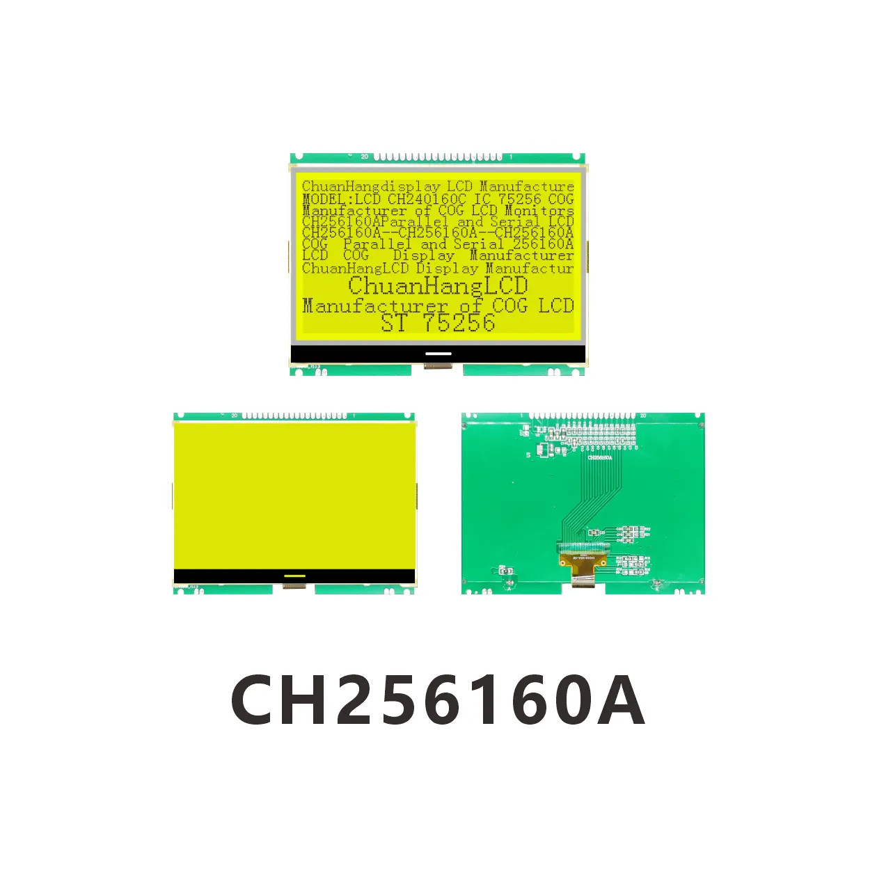 CH256160A