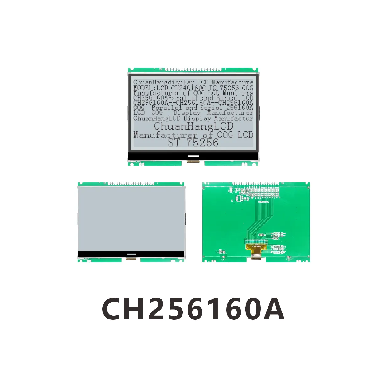 CH256160A