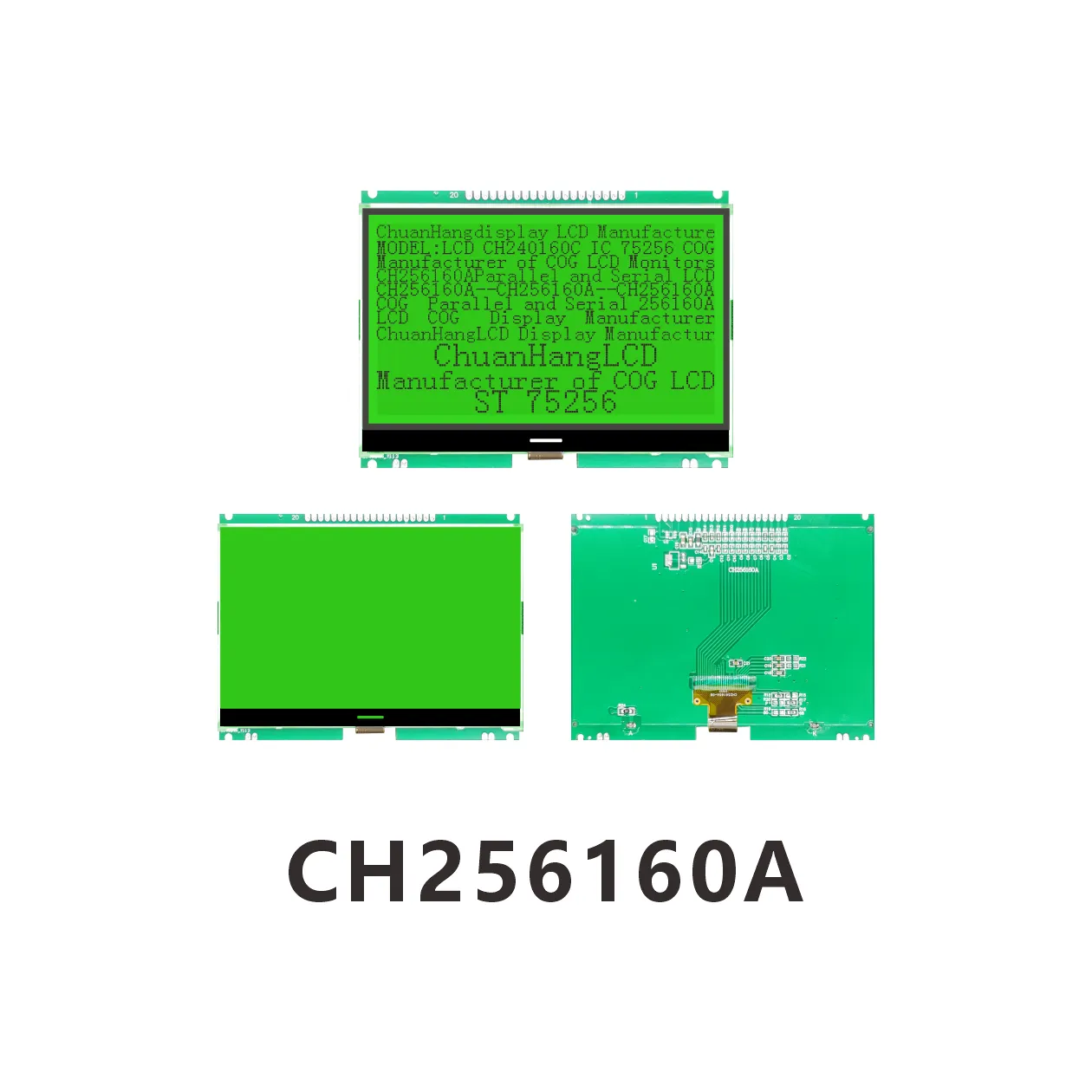 CH256160A
