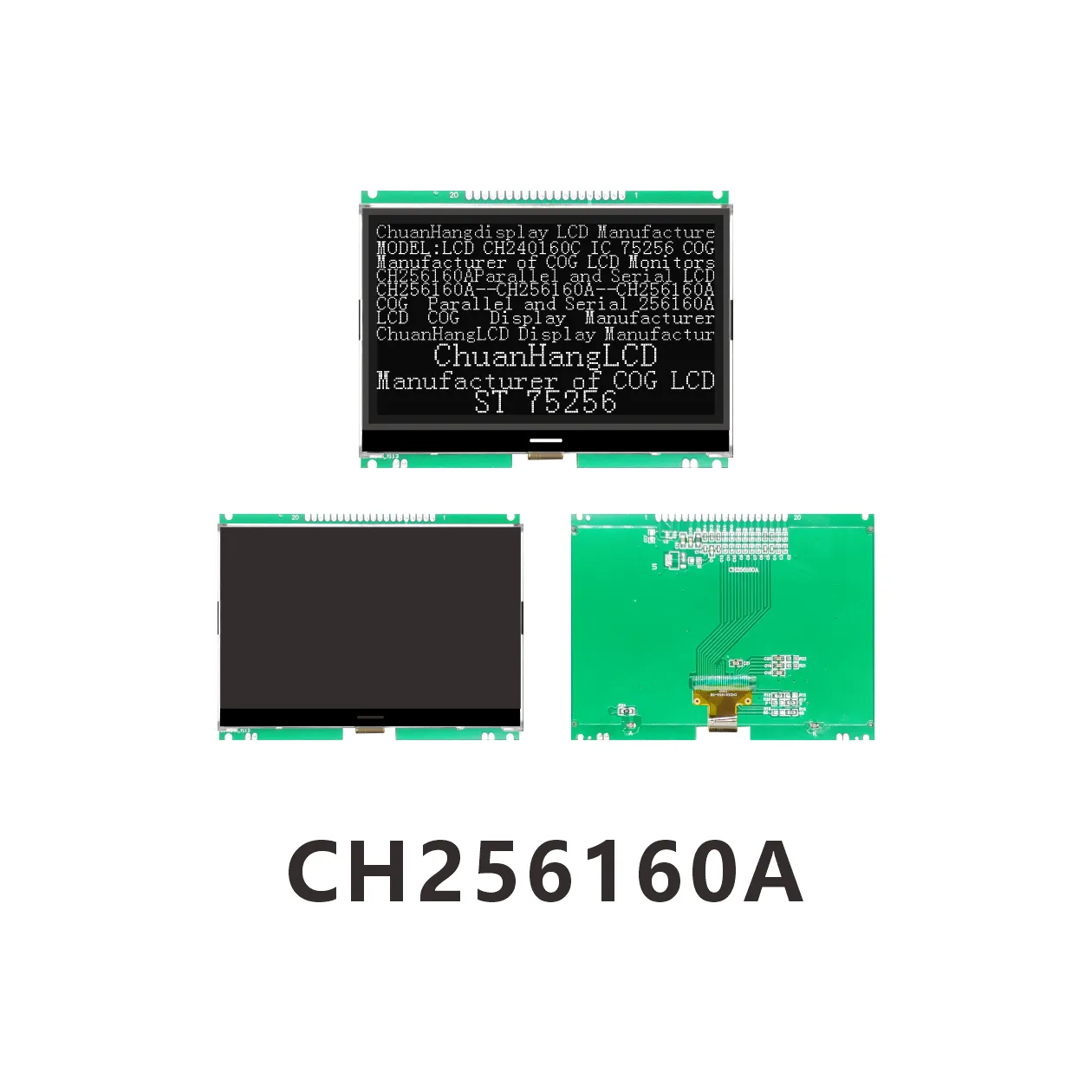 CH256160A