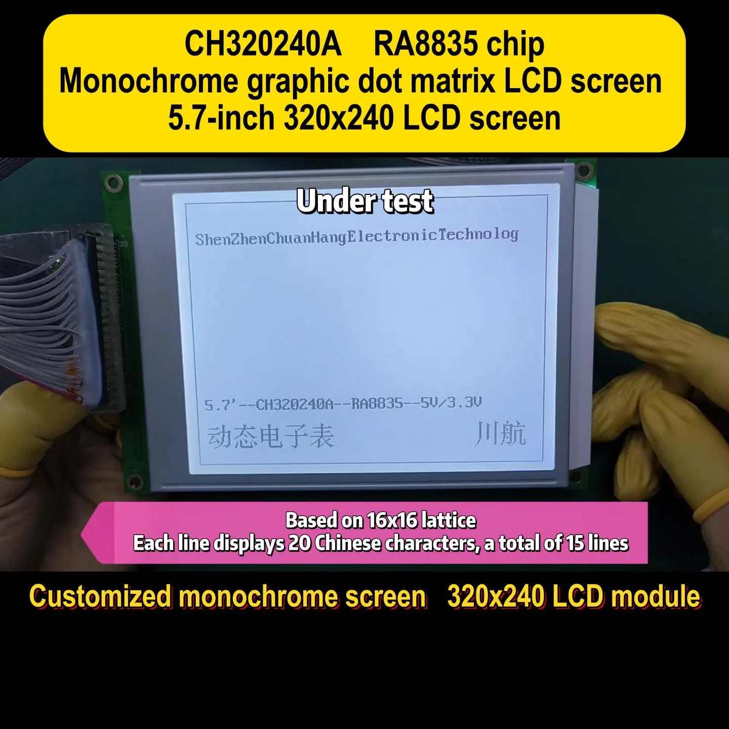 CH320240A-V4.0 Affichage graphique LCD