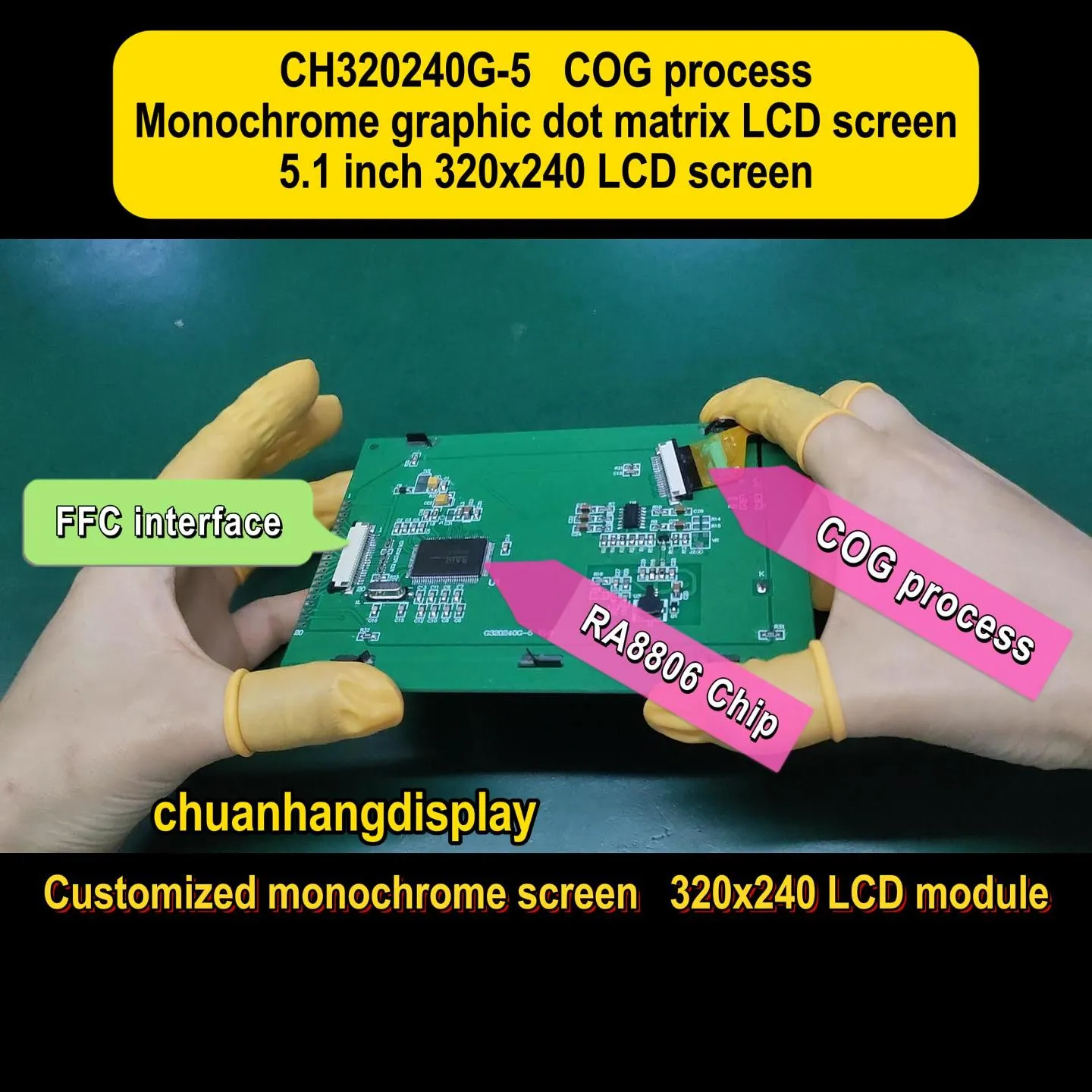 CH320240G-5 COG Grafik-LCD-Modul