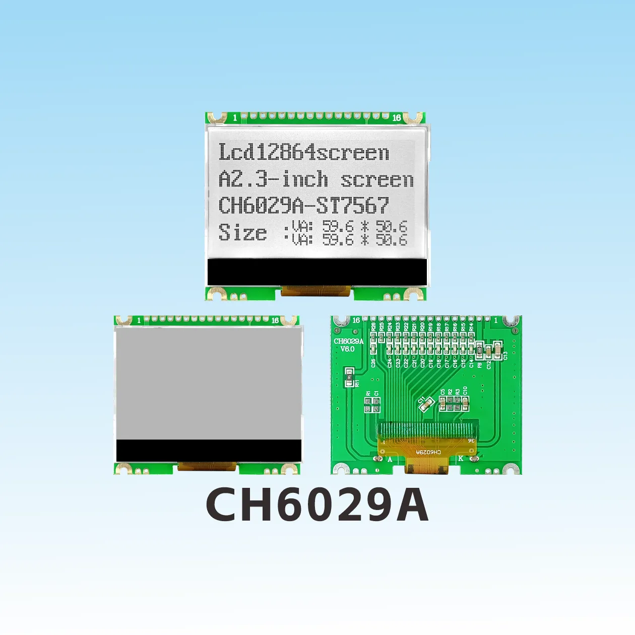 CH6029A-V6.0 COG Grafik-LCD-Modul