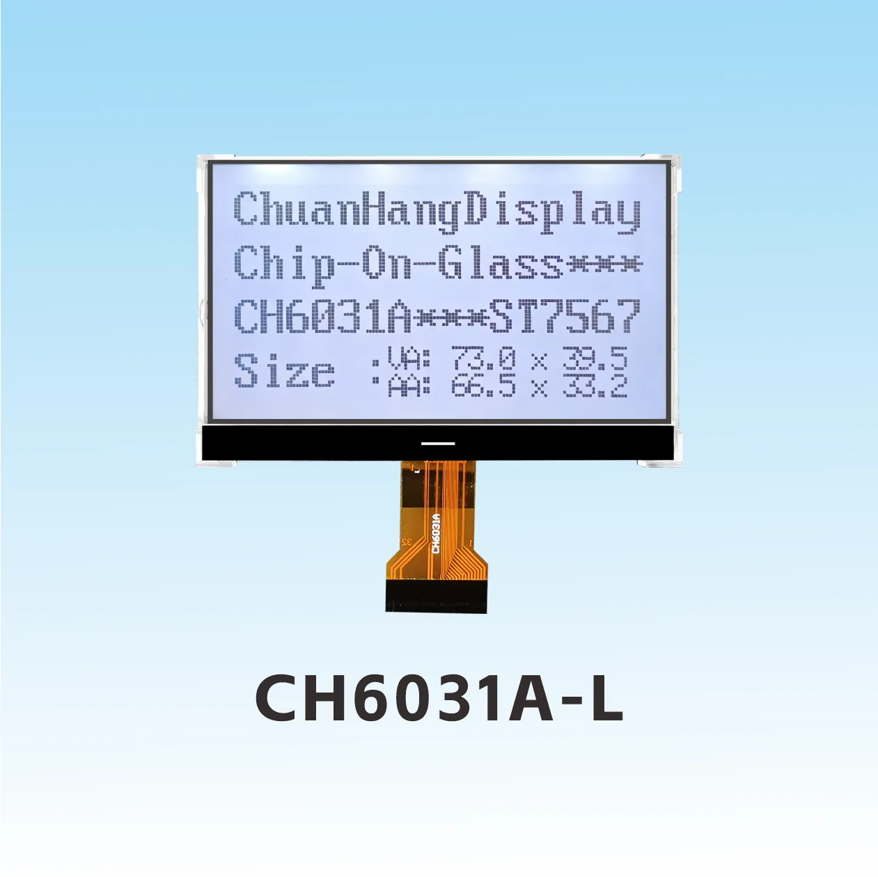 CH6031A-L   128x64 cog lcd