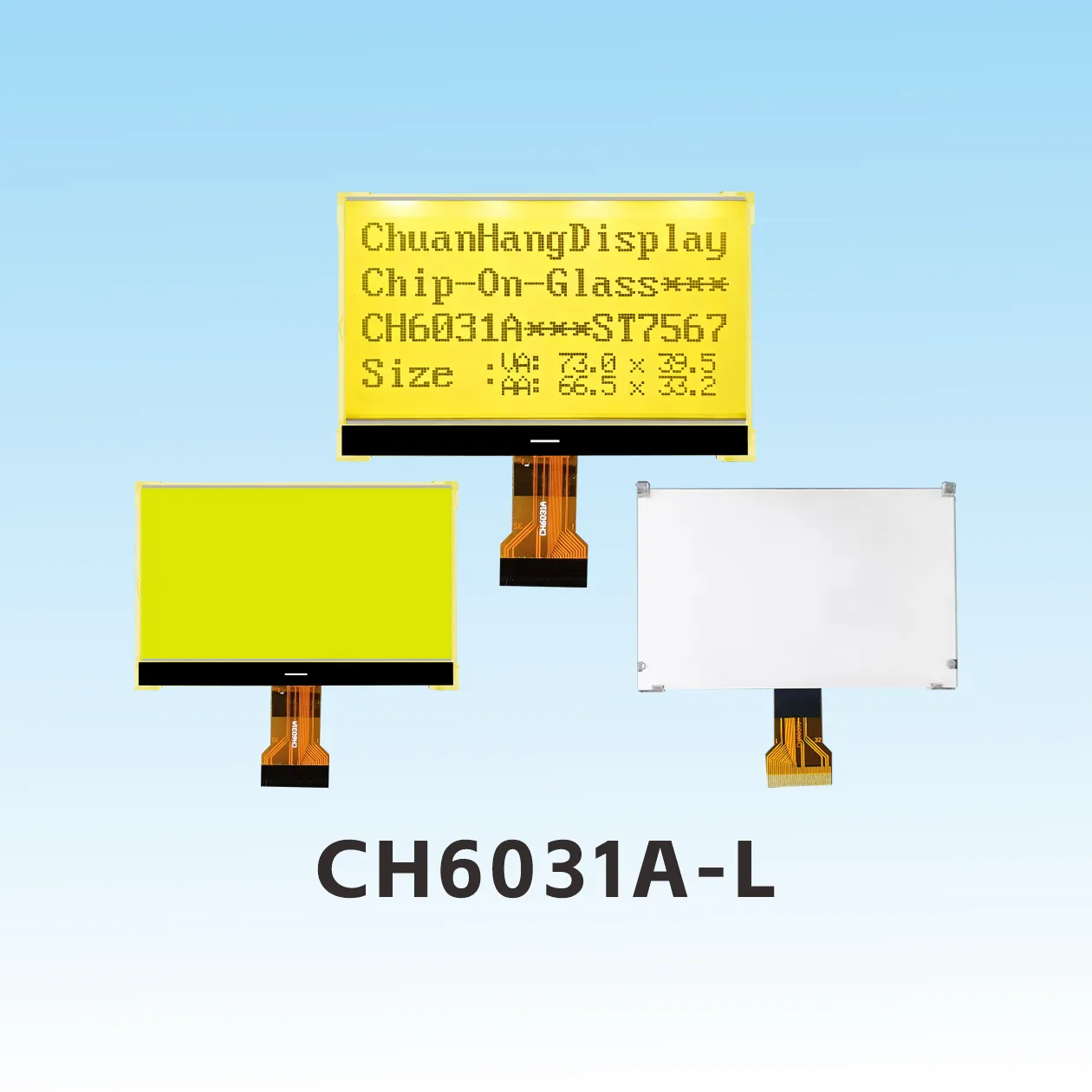CH6031A-L   128x64 cog lcd