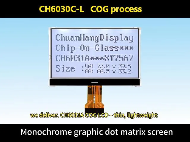 CH6031A-L   128x64 cog lcd