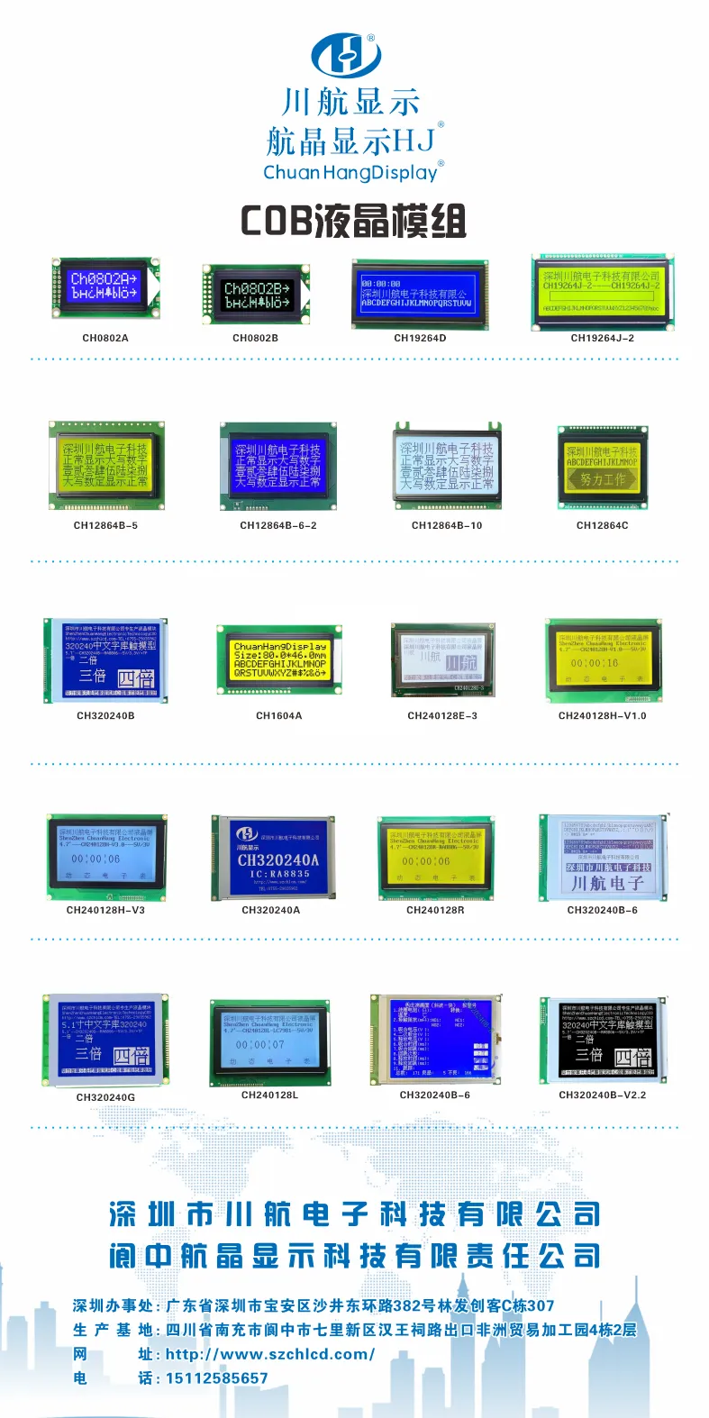 Module LCD COB