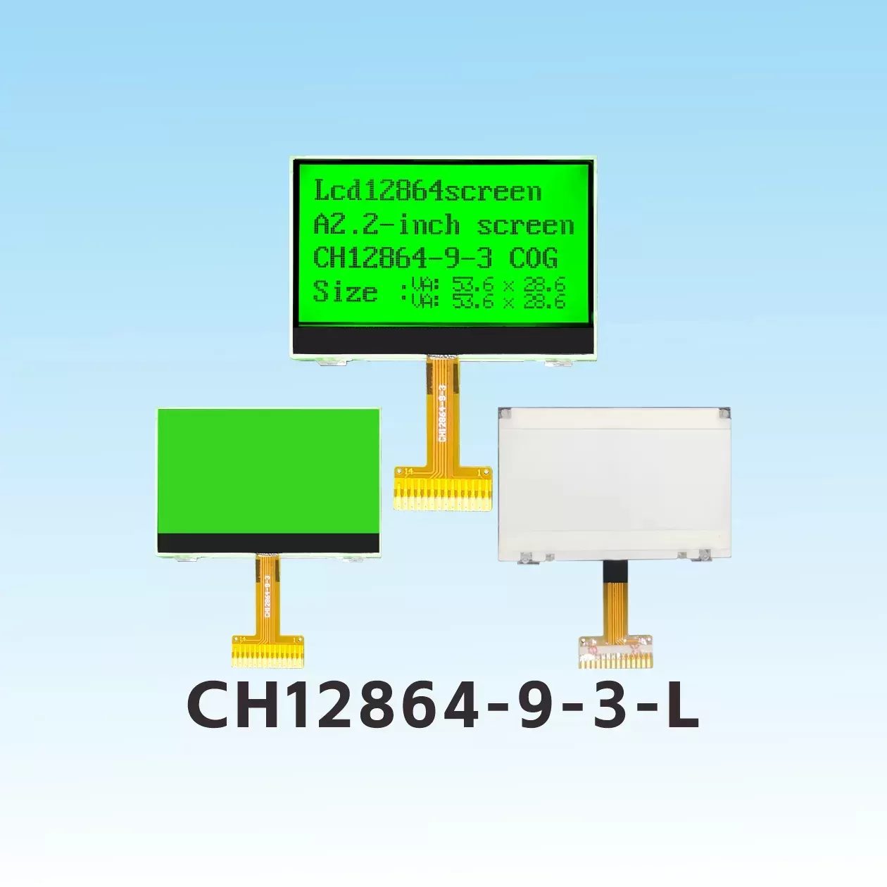 COG LCD Module