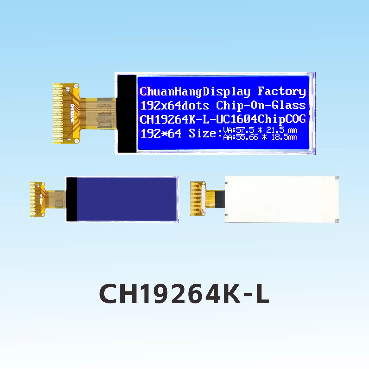 CH19264K-L 192x64 LCD Graphic