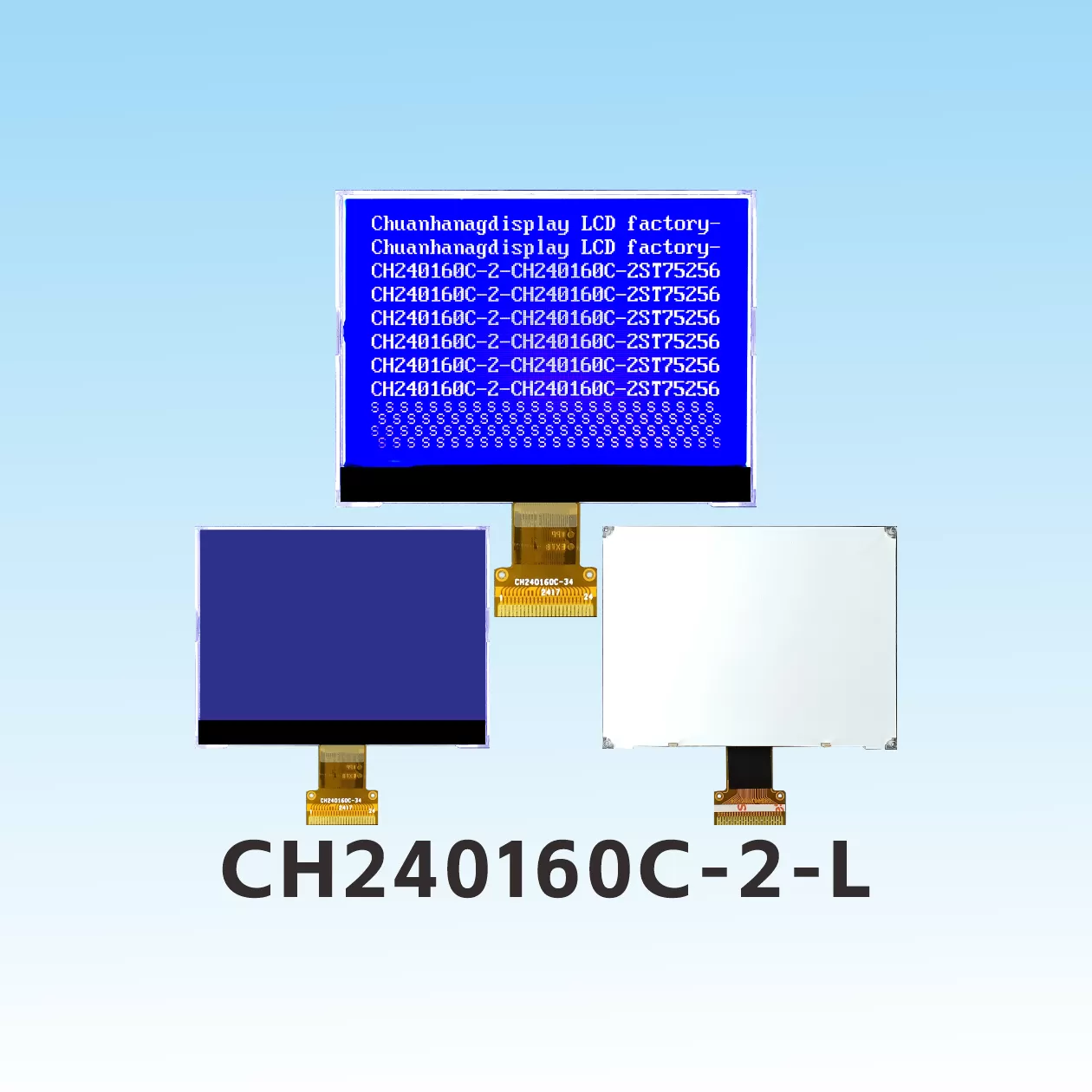 CH240160C-2-L