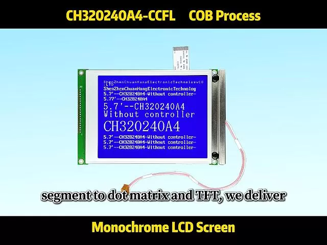 CH320240A4-CCFL 320x240 LCD Module