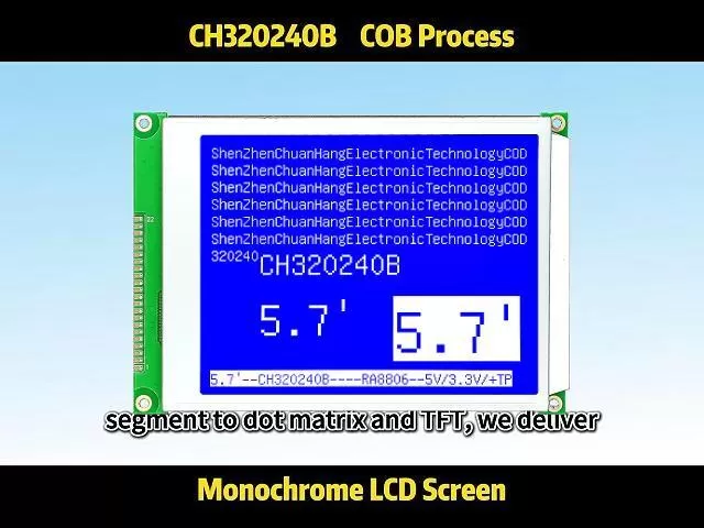 CH320240A4-CCFL 320x240 LCD Module