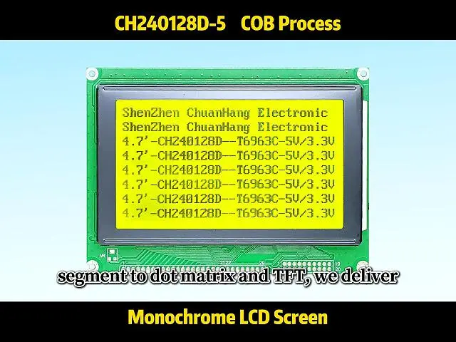 CH240128D-5