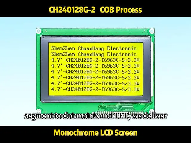 CH240128G-2