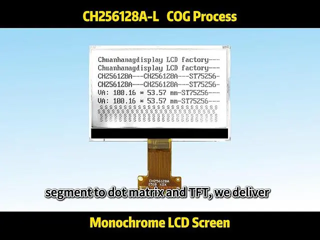 CH256128A-L-Tipo enchufable