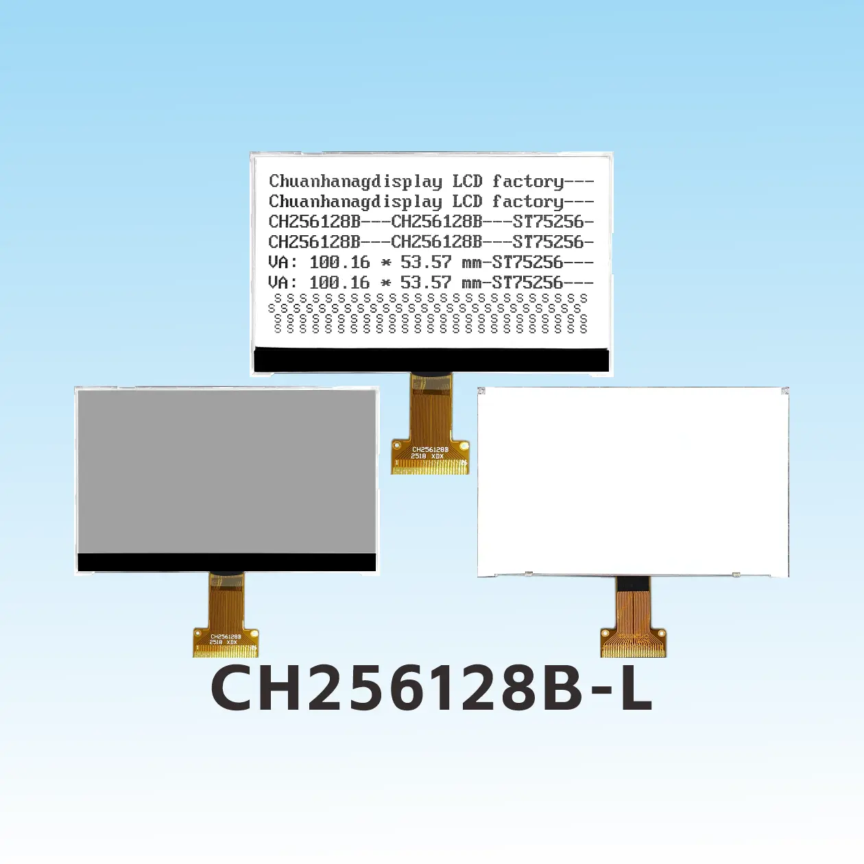 CH256128B-L-Steckertyp