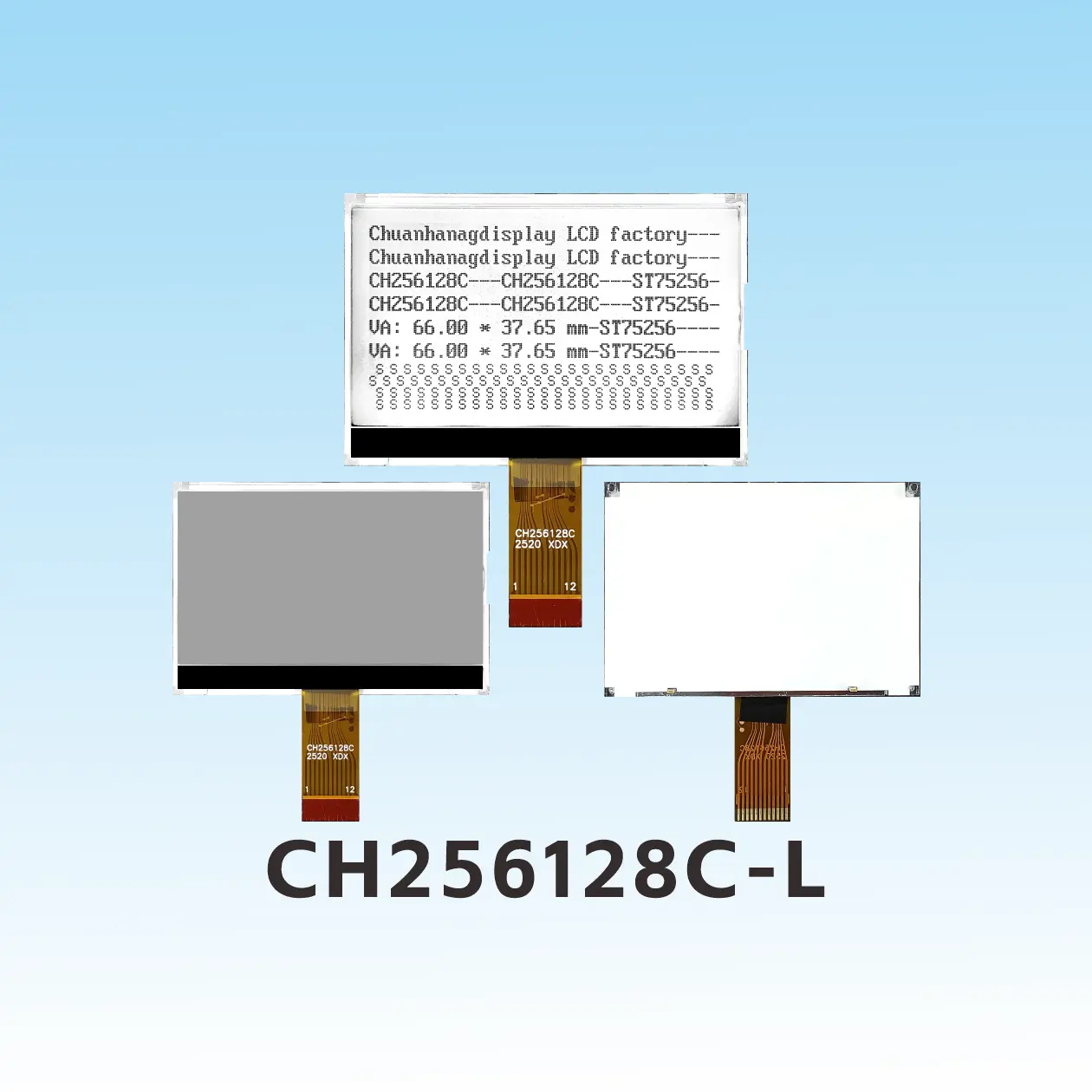CH256128C-L-Steckertyp