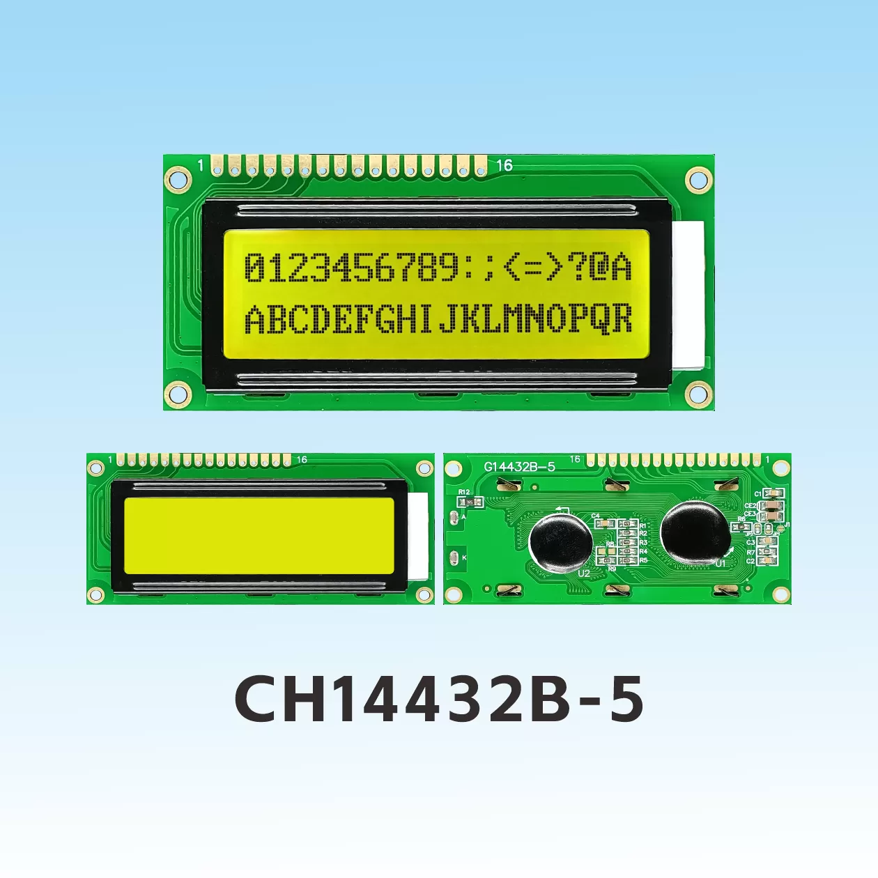 Pantalla LCD Gr&aacute;fica CH14432B-5