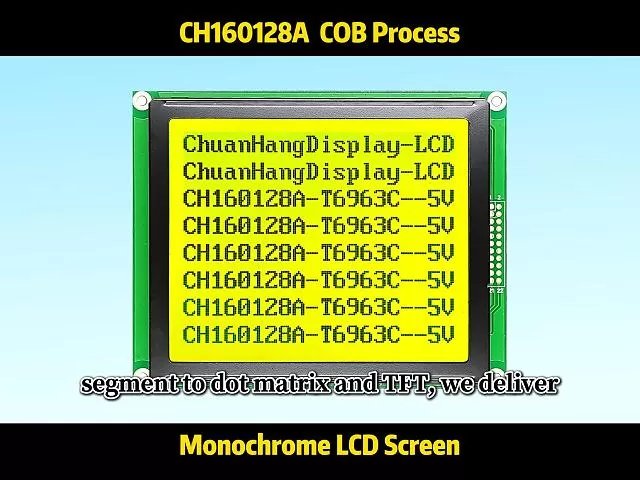 CH160128A Graphic Dot Matrix LCD Display
