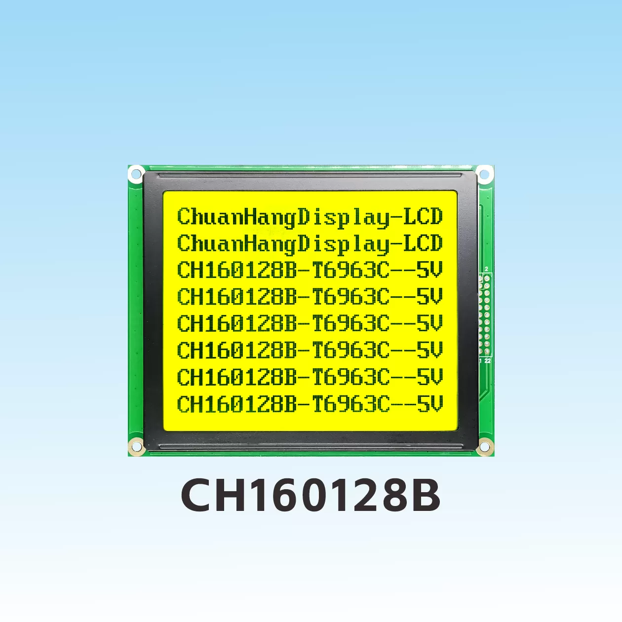 CH160128B Grafisches Punkt-Matrix-LCD-Display