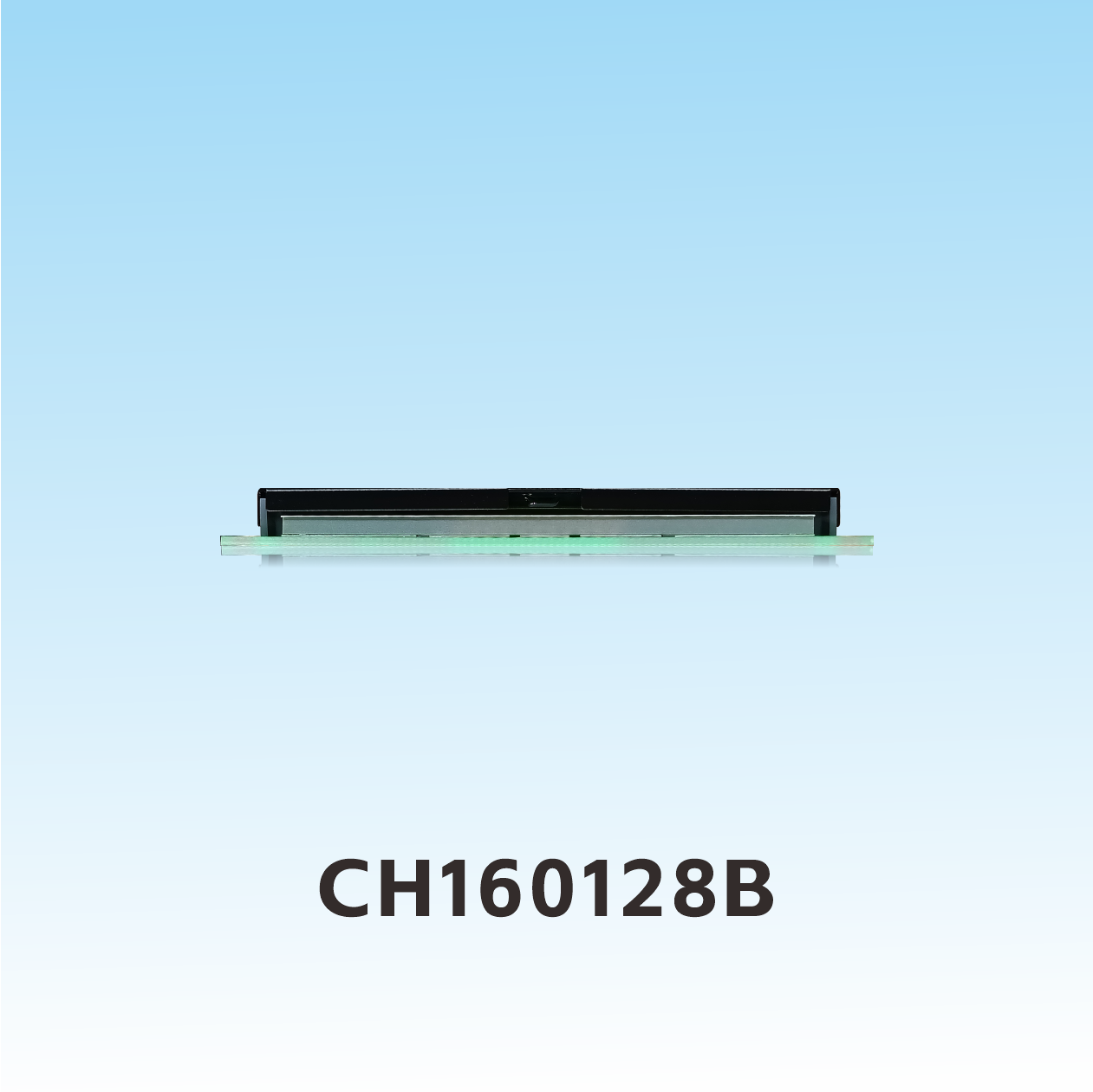 CH160128B Grafisches Punkt-Matrix-LCD-Display