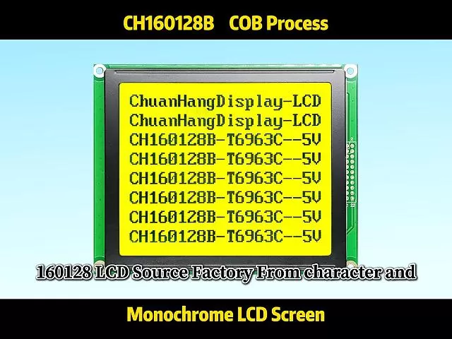 CH160128B Grafisches Punkt-Matrix-LCD-Display