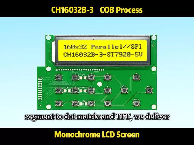 CH16032B-3 Pantalla de Cristal L&iacute;quido Gr&aacute;fico