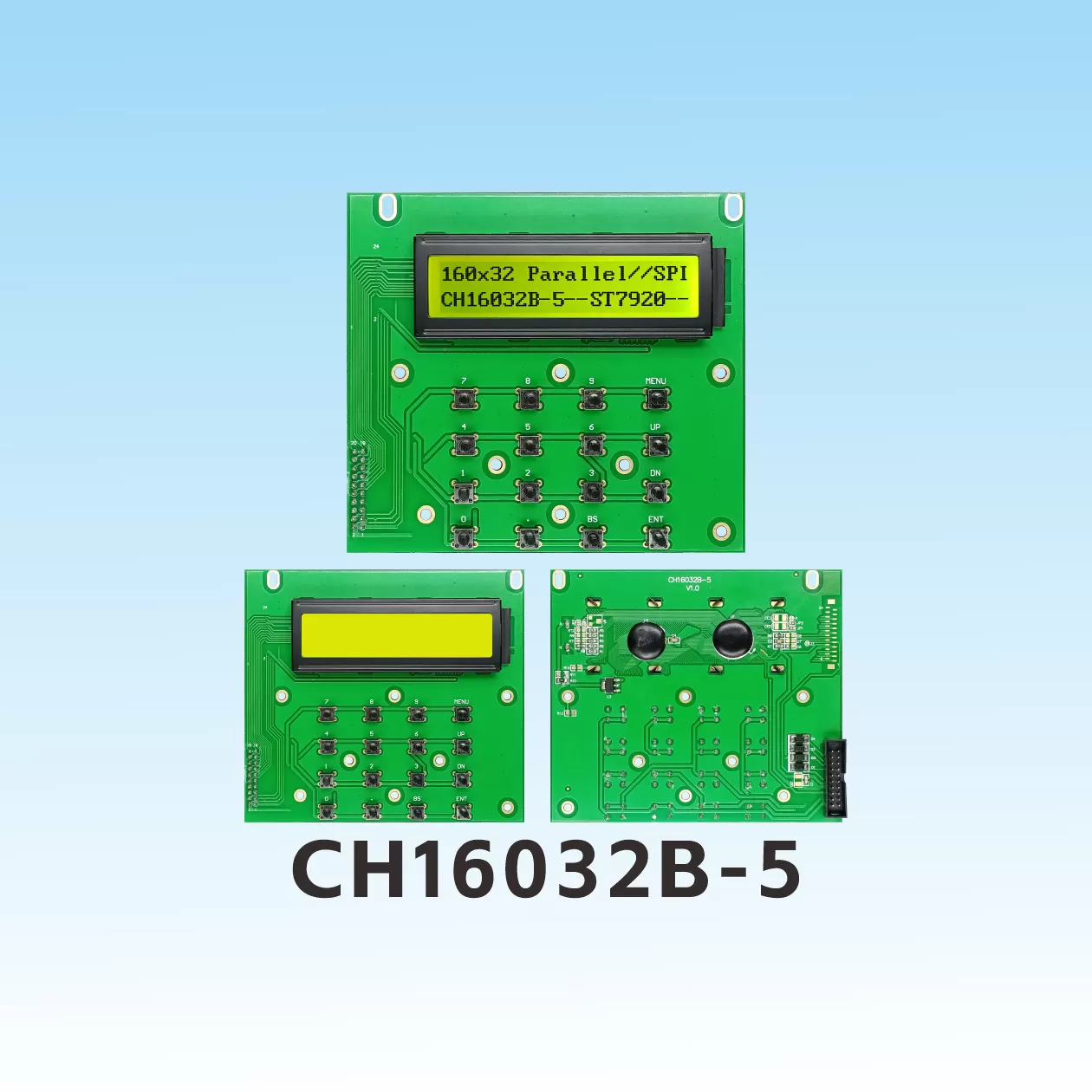 CH16032B-5 Pantalla de Cristal L&iacute;quido de 160x32