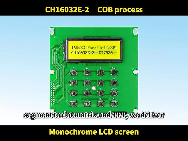 CH16032E-2 Pantalla de Cristal L&iacute;quido Gr&aacute;fico
