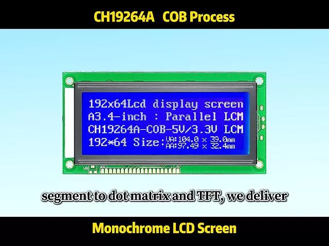 CH19264A 192x64 LCD Displays