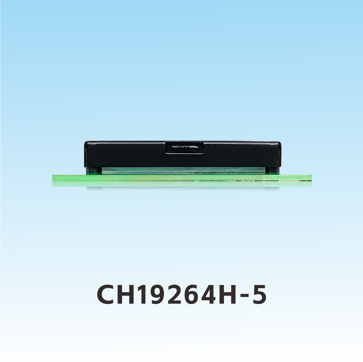 CH19264H-5 192x64 Pantallas LCD