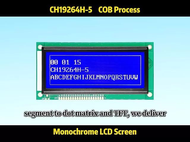 CH19264H-5 192x64 Pantallas LCD