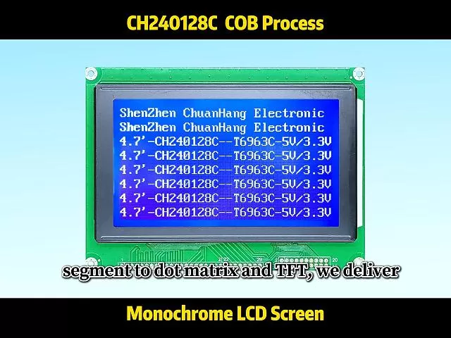 CH240128C Grafik-LCD-Display