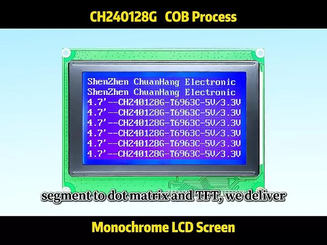 CH240128G 240x128 LCD-Modul