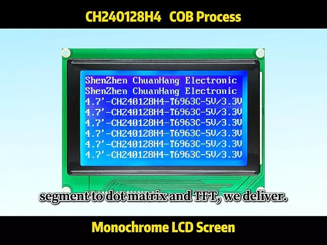 CH240128H4 Chip-on-Board-LCD-Modul 240x128