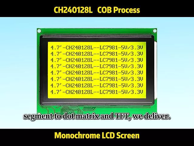 CH240128L   LCD-Modul 240x128 mit PCB