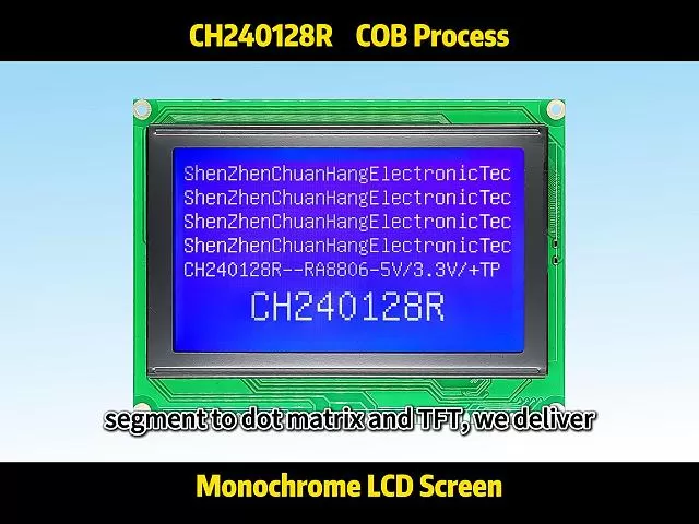 CH240128B