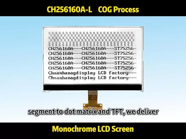 CH256160A-L