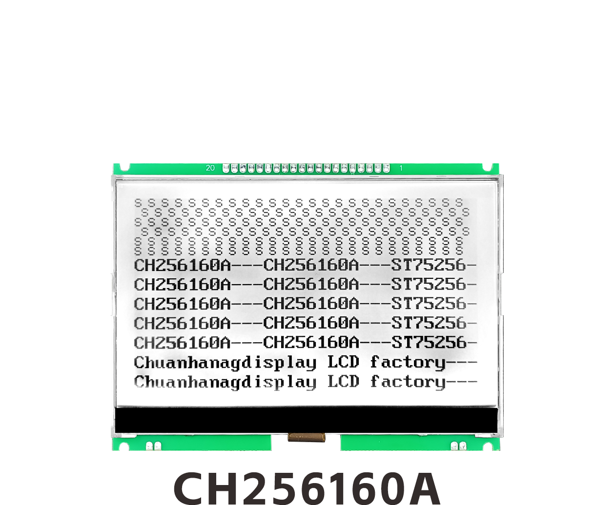 CH256160A