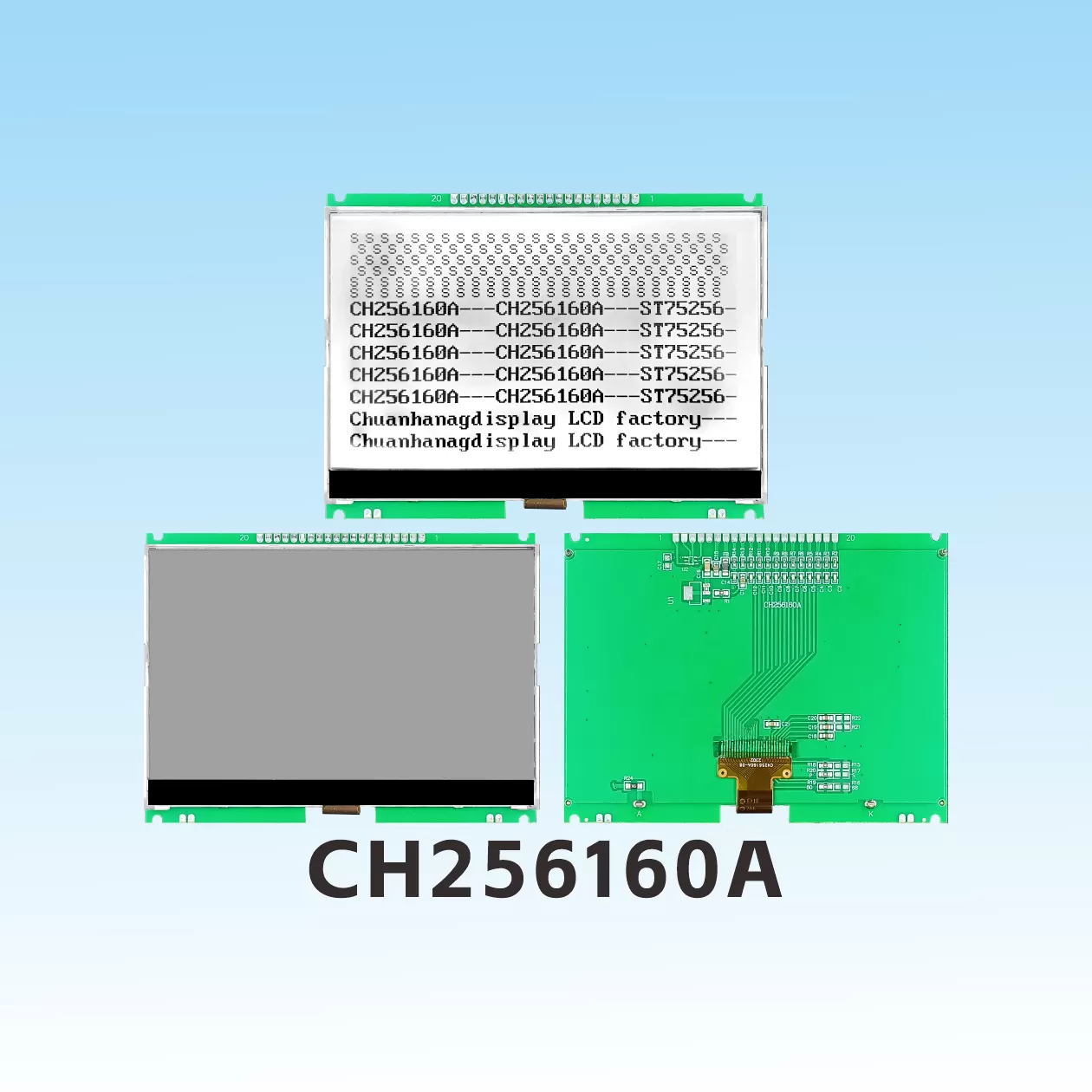 CH256160A