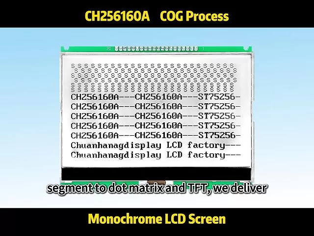 CH256160A