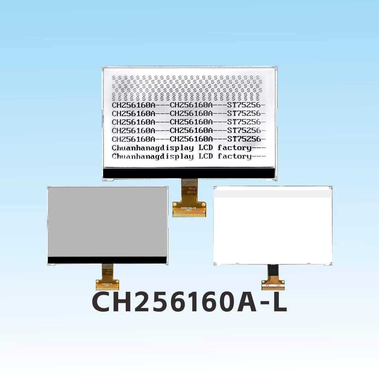 CH256160A-L