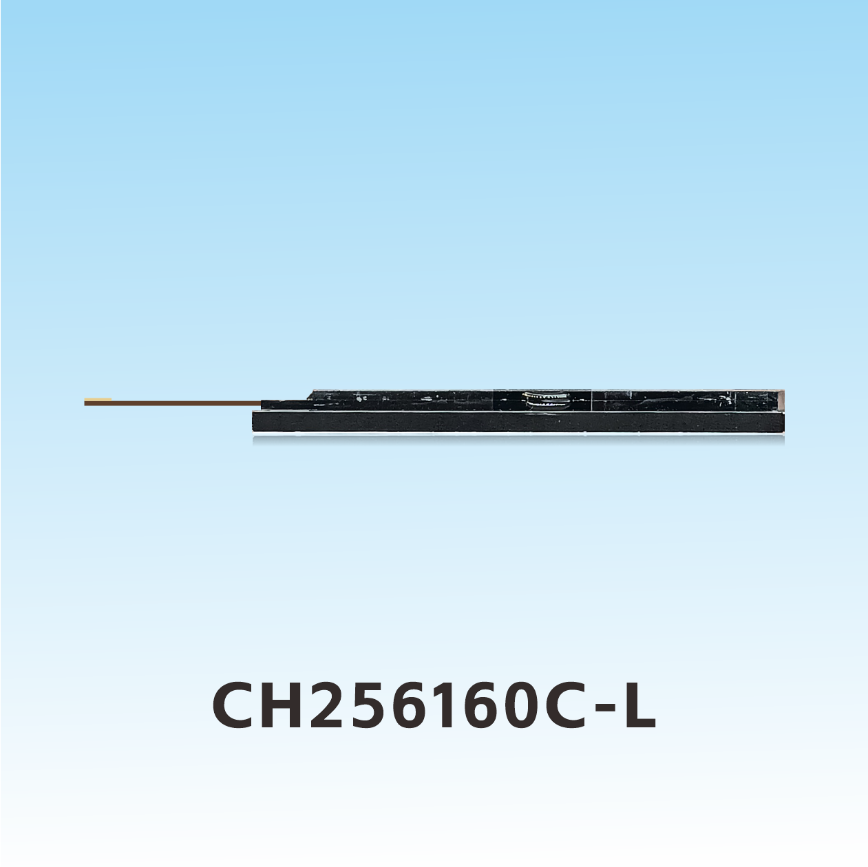 CH256160C-L  Schwei&szlig;en