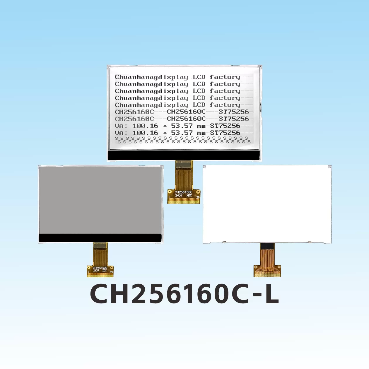CH256160C-L  Schwei&szlig;en