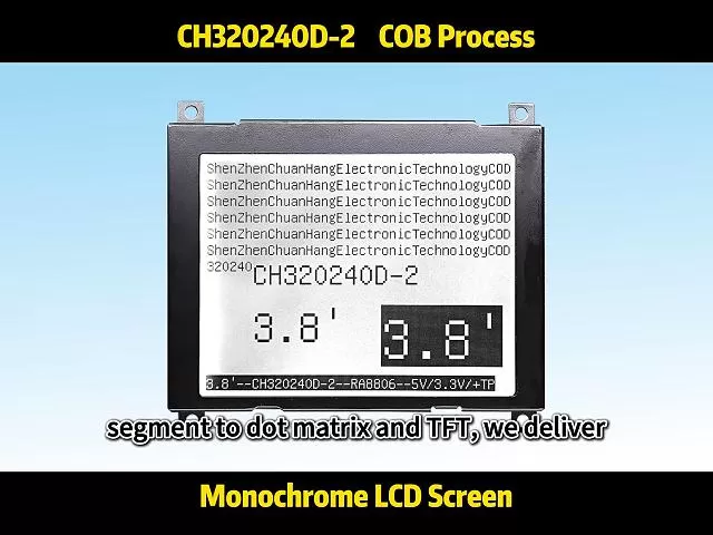 CH320240D-2 M&oacute;dulo LCD COG