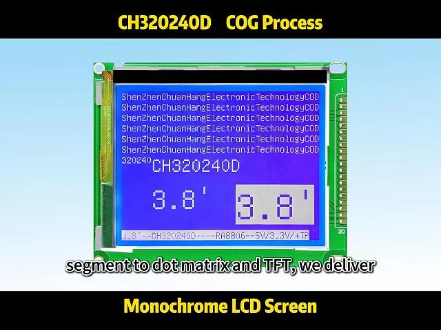 CH320240D Chip on Glass LCD Module 320x240