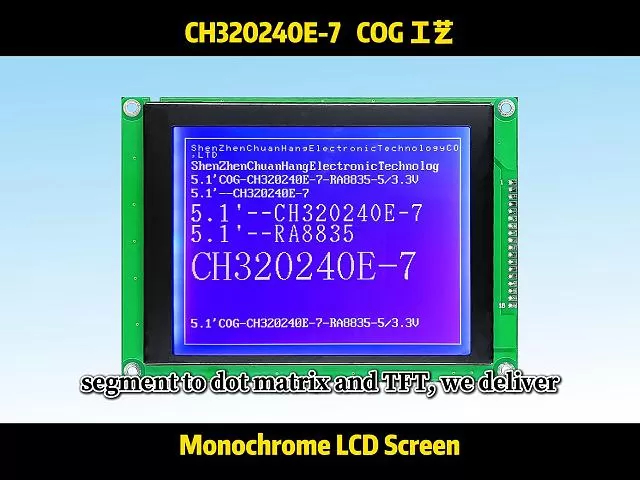 Module LCD graphique COG CH320240E-7