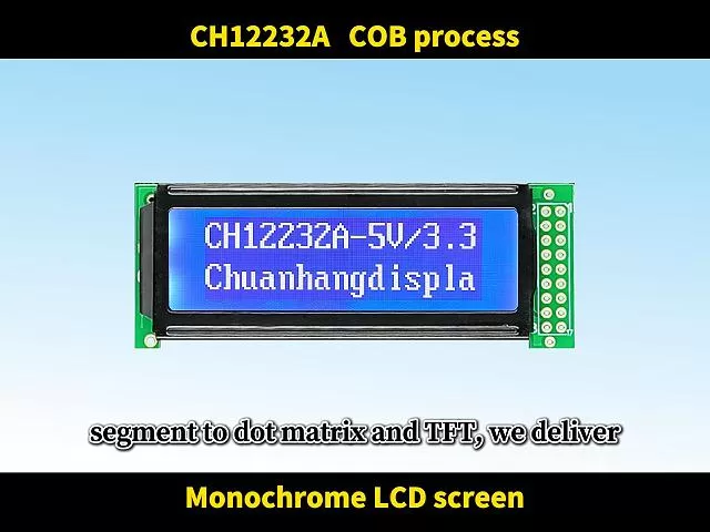 CH12232A LCD Display Module