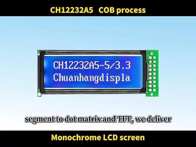 CH12232A5