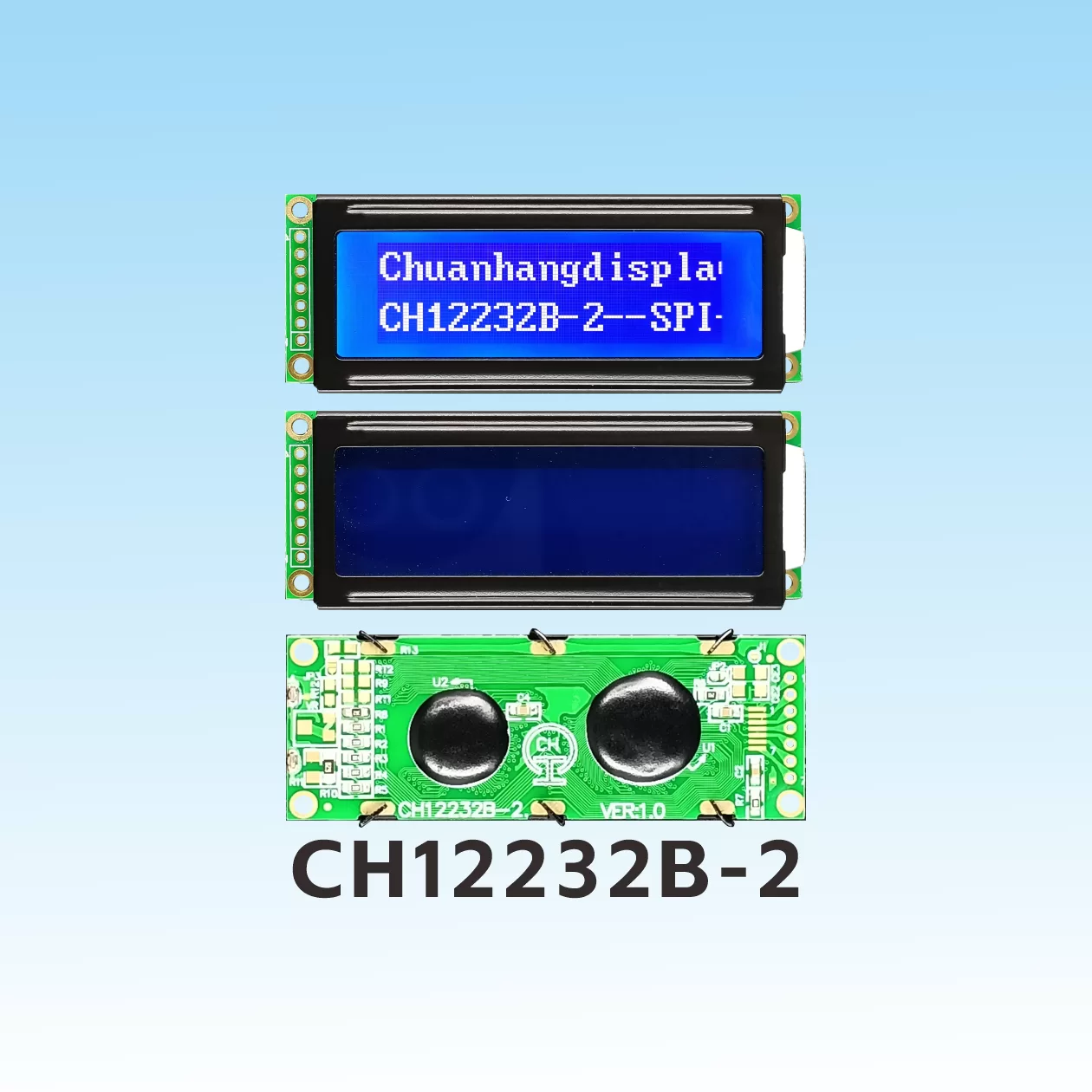 CH12232B-2 Monochrome LCD Display Module